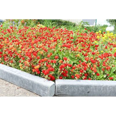 Bordure Ardoise Patinée XL 50 cm – Pack 6 pièces – 3 mètres