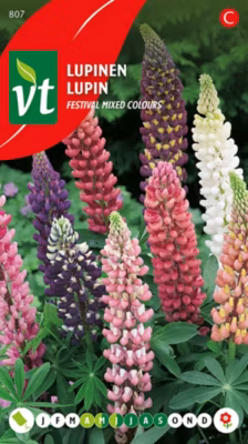 Lupine Mix Couleurs – Ca. 1 gr
