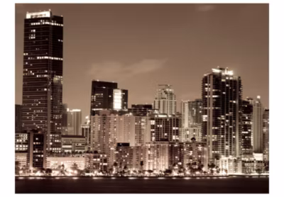 Papier peint intissé panoramique ville et architecture la vie nocturne à miami 200×154 cm