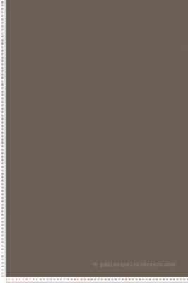 Papier peint vinyle sur intissé Uni L.10.05 x l.0.53 m.  – Réf. SP15919