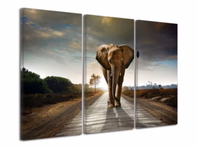 DECLINA, Tableau toile imprimée, animaux, Tableau triptyque Eléphant d&rsquo;Afrique , 120×80 cm