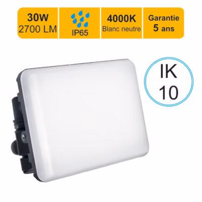 Projecteur LED 30W/IP65/2550lm/4000K connexion direct – sans câble – garantie 5 ans