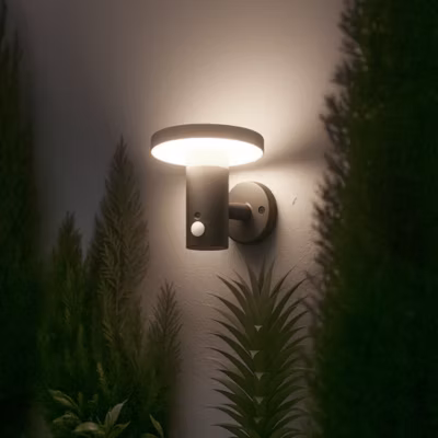 Applique Solaire 360 – Éclairage Constant et Détection – Pour Façade, Allée, Terrasse – Groupe DDC
