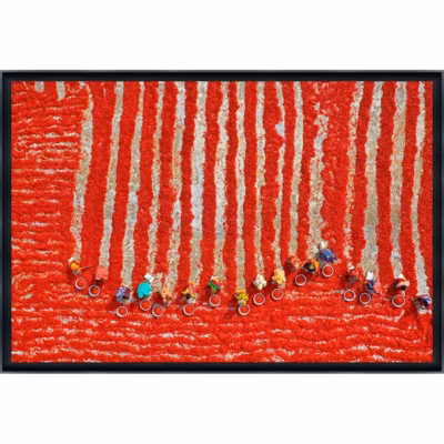 Tirage encadré sur aluminium séchage des piments rouges 90×60 cm Fabriqué en France