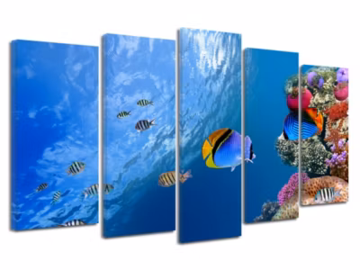 DECLINA, Tableau toile imprimée, animaux, Tableau toile décorative Poissons de Mer , 220×120 cm