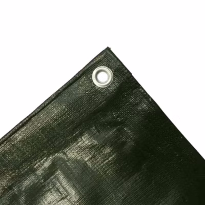 Bâche de protection 280g/m, verte, bâche étanche, résistante UV, 10x12m (120m)