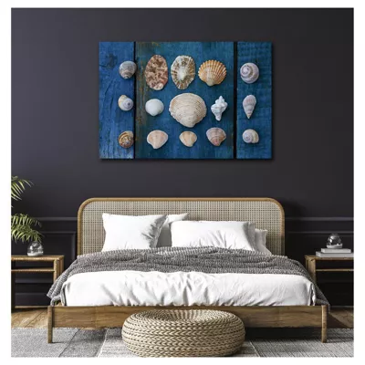Tableau toile en kit COLLECTION DE COQUILLAGES 140 x 95 cm – Toile textile sans PVC, Made in France par Scenolia