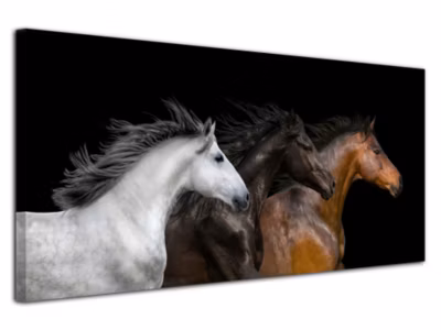 DECLINA, Tableau toile imprimée, animaux, Tableau decoratif portrait de cheveaux, 60×30 cm