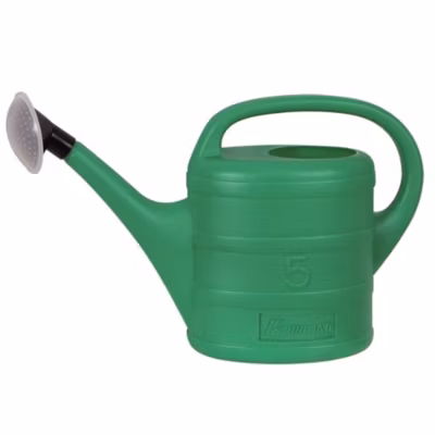 Arrosoir 5 L avec pomme d&rsquo;arrosage