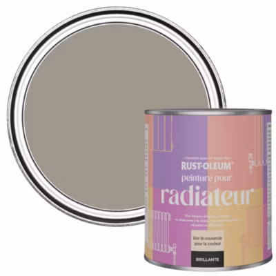 Peinture Marron pour Radiateur, Finition Brillante – RUST-OLEUM – Truffe 750ml