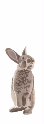 ESTAhome papier peint panoramique lapin marron 100 x 279 cm