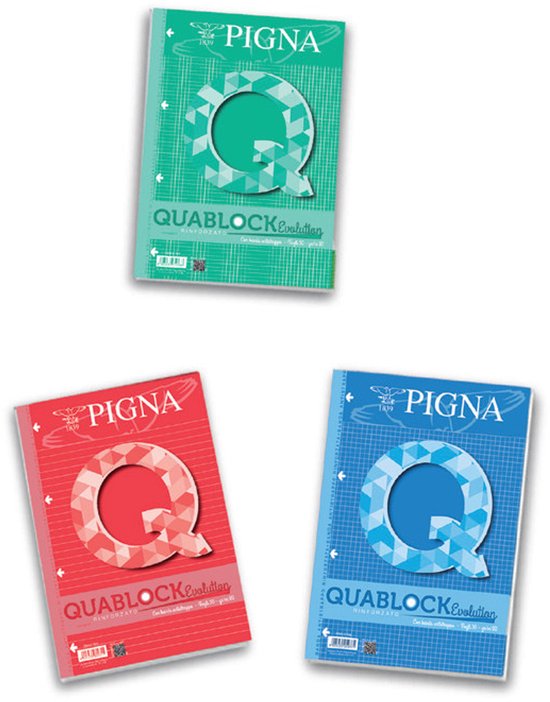Bloc-notes et cahier Pigna 02112154M A4 40 feuilles Multicolore