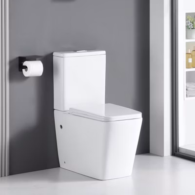 Toilette WC à poser BRAGADO en ceramique