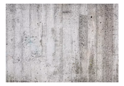 Papier peint intissé panoramique grey emperor 100×70 cm