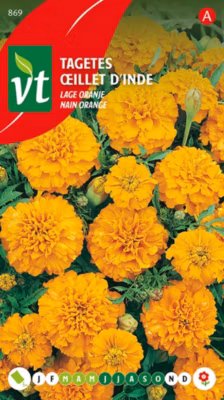 Œillet D&rsquo;Inde Nain Orange – Ca. 1 gr