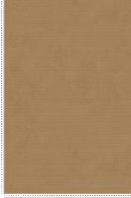 Papier peint vinyle sur intissé Uni L.10.05 x l.0.53 m.  – Réf. LTC-51233108