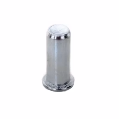 200 Ecrous à Sertir Borgnes Tête Plate GOFIX M10 x 29 mm – Acier – D-Work