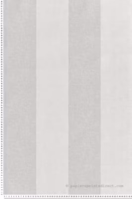 Papier peint vinyle sur intissé Classique L.10.05 x l.0.53 m.  – Réf. MC-IC4002