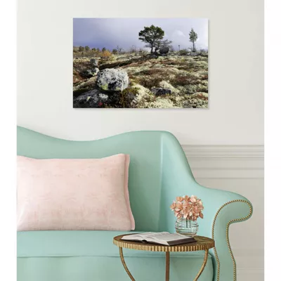 Tableau toile XXL en kit In Wild 60 x 40 cm – Toile textile sans PVC