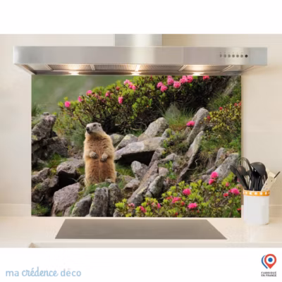 Crédence cuisine fond de hotte Marmotte – Verre trempé – L 90 cm x H 60 cm – MaCrédenceDéco