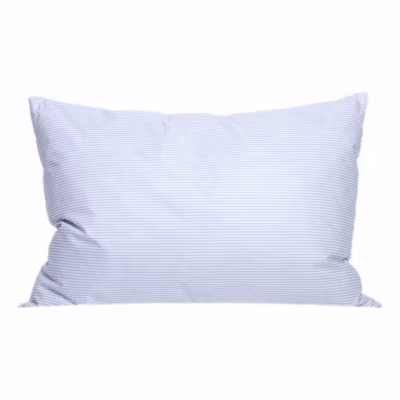 Oreillers DODO lot de 2 50 x 70 cm blanc coton polyester