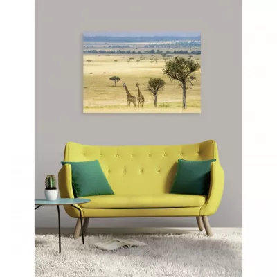 Tableau verre acrylique Douce Savane 130 x 90 cm – Décoration murale photo pour la maison