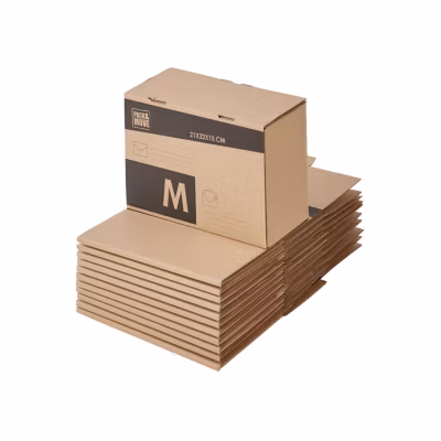 Pack and Move – Lot 24 colis pour expédition – Taille M – 21 x 32 x 15 cm – Carton renforcé – 20 KG max