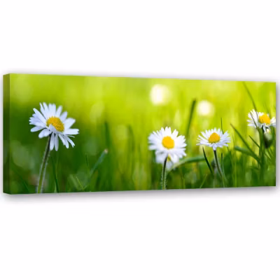 Cadre déco, Fleur de l&rsquo;oie Vert Herbe 150×50 cm