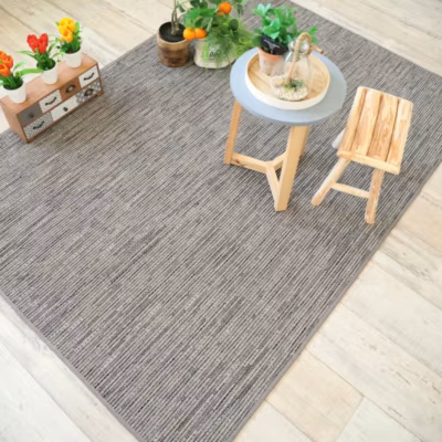 Tapis intérieur / extérieur en tissé plat – Bornéo silver – Galon couleur lin – 80 x 150 cm