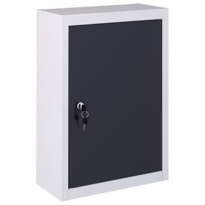 Armoire à outils murale Style Industriel Métal Gris et noir vidaXL