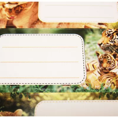 12 étiquettes adhésives scolaires – Rectangle – Photos félins