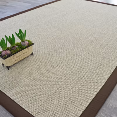 Tapis Sisal Quintana blanchi – Ganse polypropylène chocolat – 250 x 350 cm