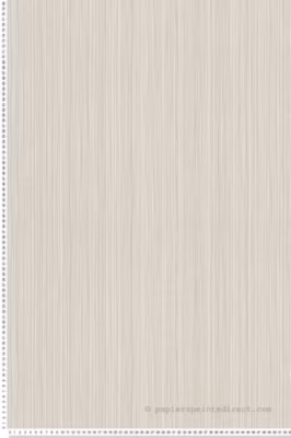 Papier peint vinyle sur intissé Uni L.10.05 x l.0.53 m.  – Réf. AS-388193