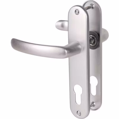 Poignée de porte d&rsquo;entrée – Budget – Vachette – Gris argent – Clé I – 165 mm