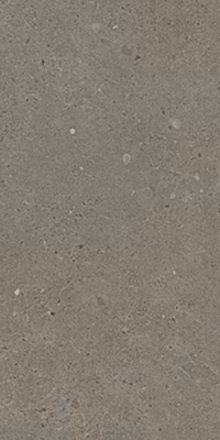 Carrelage Trevi Modular Silver – Mat 66 x 44cm  ( vendu par boite de  0,87 m² )