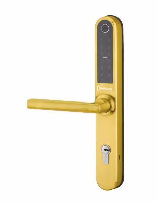Paire de poignées connectées Intelock Multi, pour porte d&rsquo;entrée, entr&rsquo;axes 70mm, dorée – INTELOCK