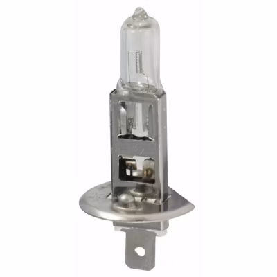Ampoule 12 V 55 W  H 1 (Lot de 5 )