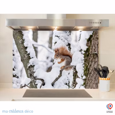 Crédence cuisine fond de hotte Ecureuil sous la neige – Alu composite – L 90 cm x H 50 cm – MaCrédenceDéco