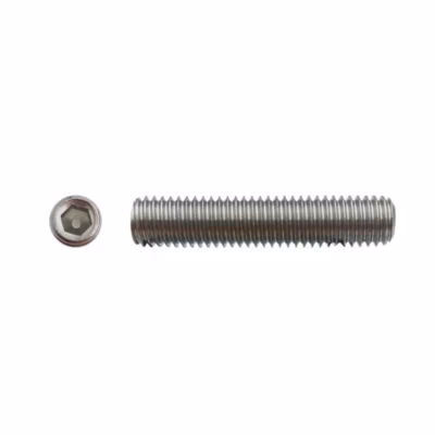 200 Vis Sans Tête 6 Pans Creux à Bout Plat STHC 3 x 4 mm – DIN 913 – Inox A2 – D-Work