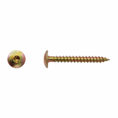 100 Vis Bois pour Penture Torx 7 x 50 mm – Zingué Bichro – D-Work