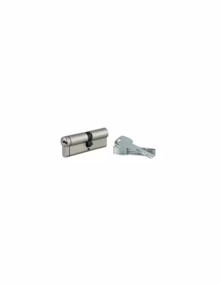 Cylindre double entrée Transit 1 UNIKEY (achetez-en plusieurs, ouvrez avec la même clé), 45x55mm, 5 clés, nickelé – THIRARD