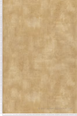 Papier peint vinyle sur intissé Uni L.10.05 x l.0.53 m.  – Réf. MC-TA25007