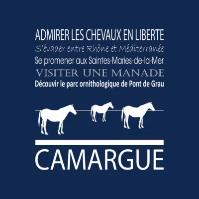Tableau sur toile camargue navy 30×30 cm Fabriqué en France