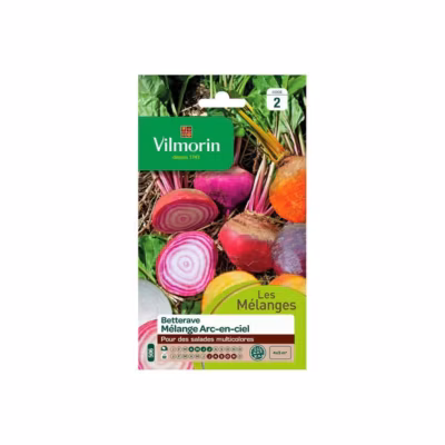Sachet graines Betterave Arc en ciel – Beta vulgaris