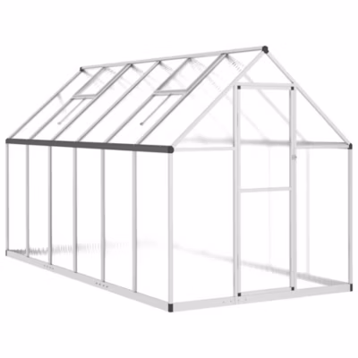 Serre avec cadre de base argenté 334x169x195 cm aluminium vidaXL