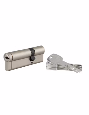 Cylindre de serrure débrayable Transit 1, 30x65mm, 5 clés, nickelé – THIRARD