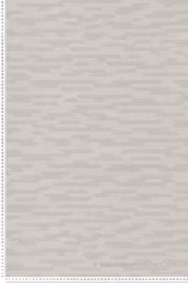 Papier peint vinyle sur intissé Contemporain L.10.05 x l.0.53 m.  – Réf. MC-BZ3213