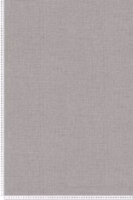 Papier peint vinyle sur intissé Uni L.10.05 x l.0.53 m.  – Réf. 38528-6