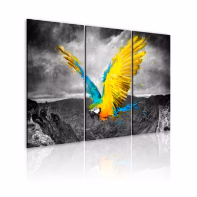Tableau Oiseau de paradis 60×40 cm
