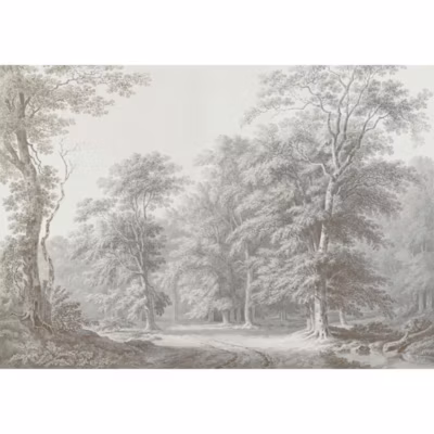 Papier peint panoramique XXL Forêt Bucolique 400 x 280cm Gris vert